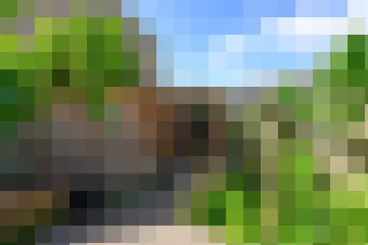 Wegedoornpad 20 's-Gravenzande thumbnail 13