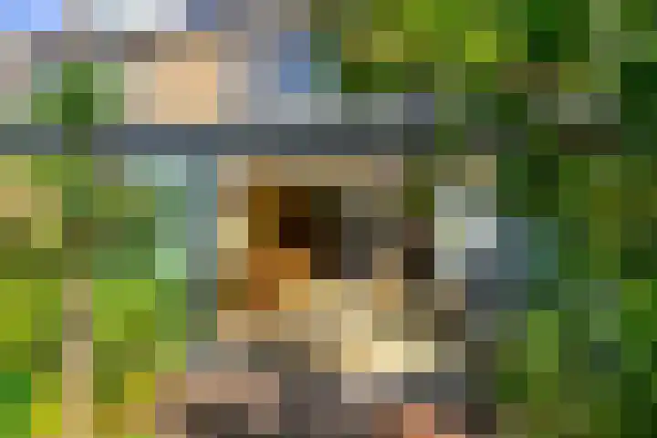 Wegedoornpad 20 's-Gravenzande thumbnail 14