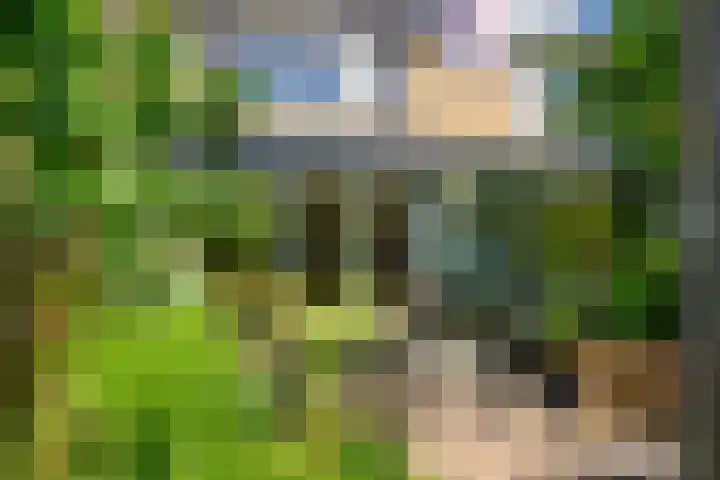 Wegedoornpad 20 's-Gravenzande thumbnail 17