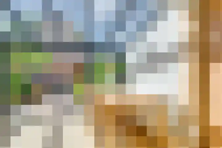 Wegedoornpad 20 's-Gravenzande thumbnail 6