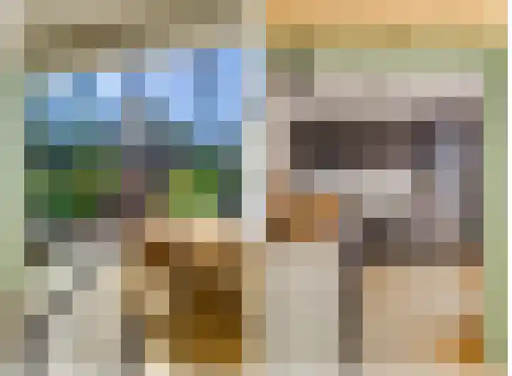 Wegedoornpad 20 's-Gravenzande thumbnail 7