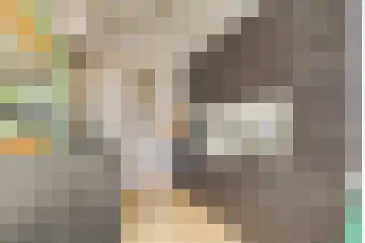 Wegedoornpad 20 's-Gravenzande thumbnail 9