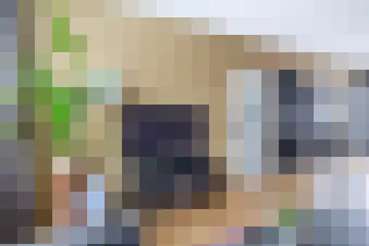Wegedoornpad 5 's-Gravenzande thumbnail 13