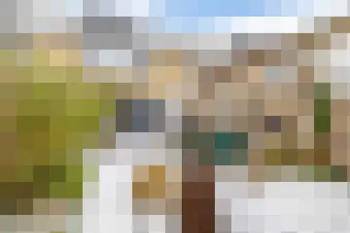 Wegedoornpad 5 's-Gravenzande thumbnail 25