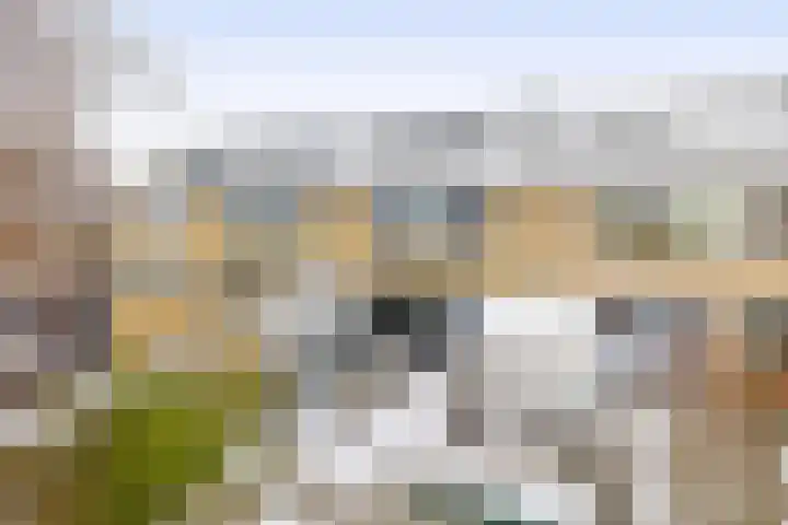 Wegedoornpad 5 's-Gravenzande thumbnail 26