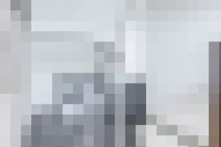 Wegedoornpad 5 's-Gravenzande thumbnail 37