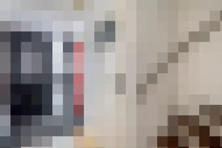 Wegedoornpad 5 's-Gravenzande thumbnail 7