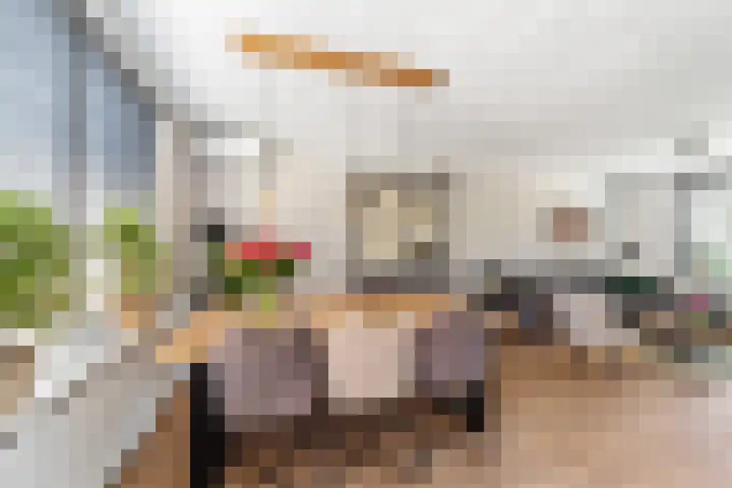 Wegedoornpad 7 's-Gravenzande thumbnail 10