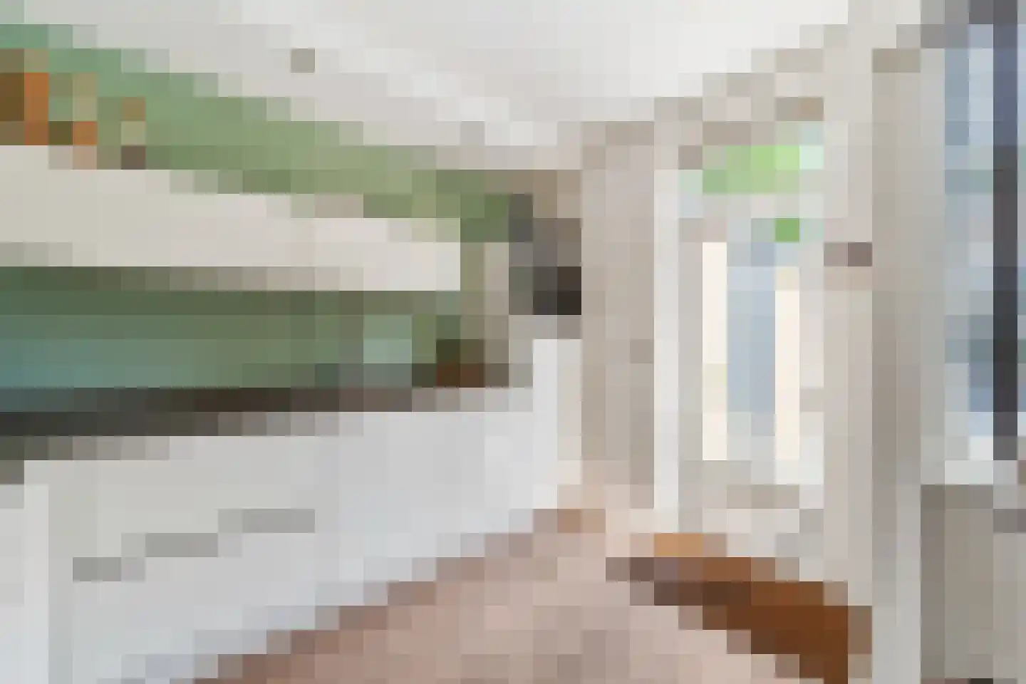 Wegedoornpad 7 's-Gravenzande thumbnail 11