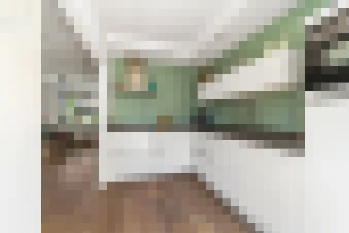 Wegedoornpad 7 's-Gravenzande thumbnail 12