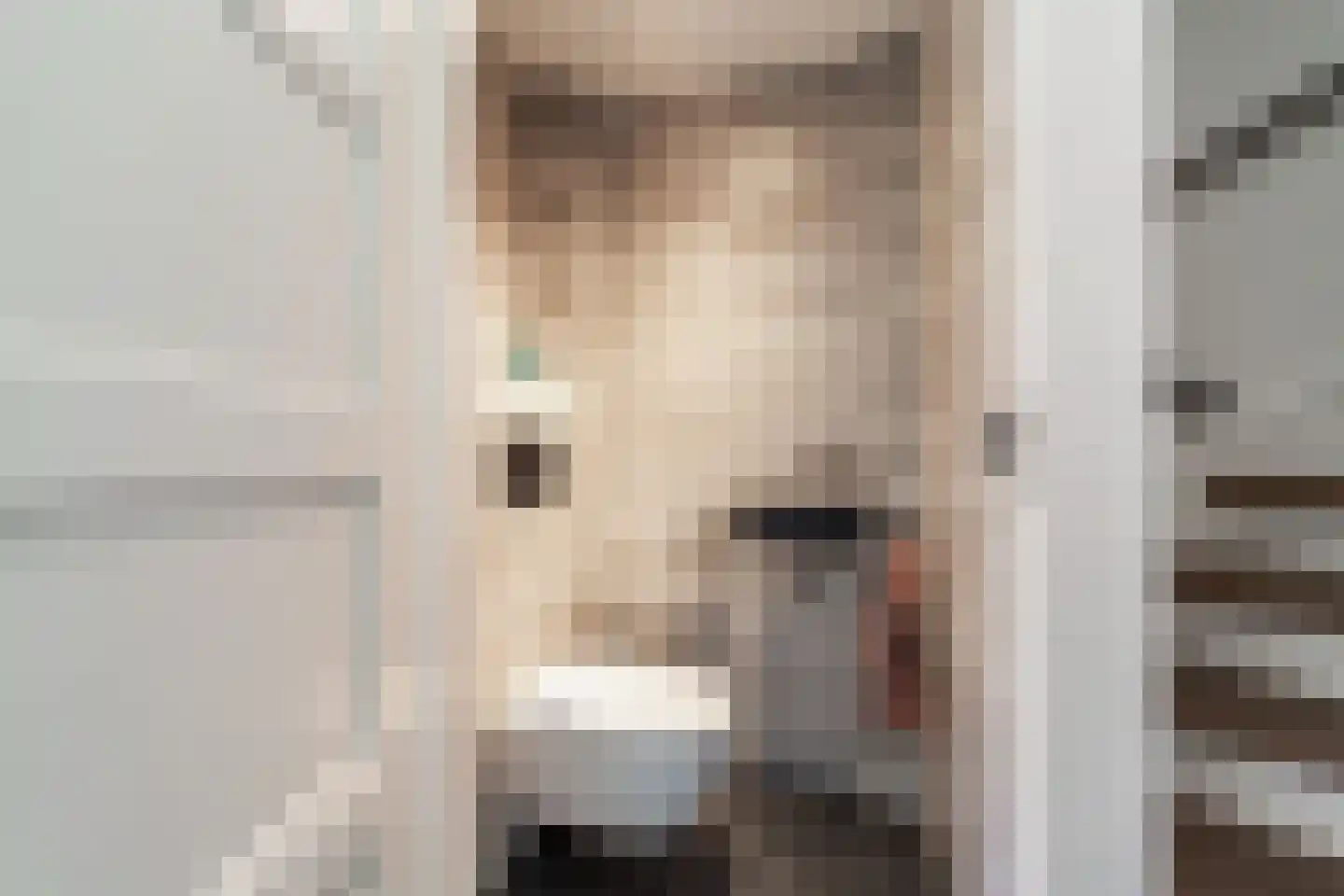 Wegedoornpad 7 's-Gravenzande thumbnail 15