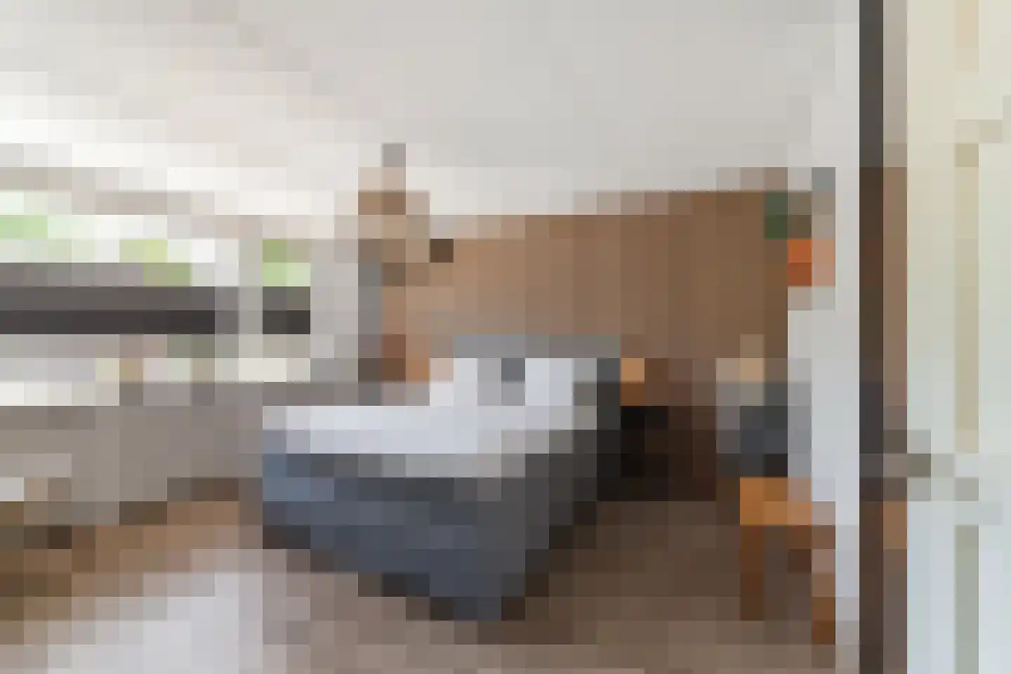 Wegedoornpad 7 's-Gravenzande thumbnail 18