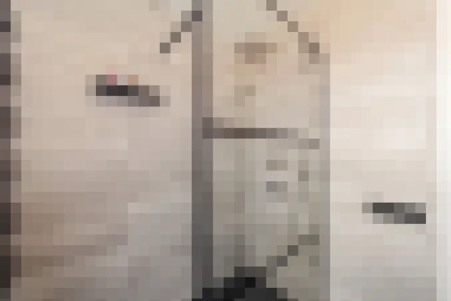 Wegedoornpad 7 's-Gravenzande thumbnail 23