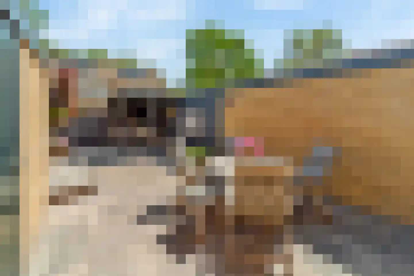 Wegedoornpad 7 's-Gravenzande thumbnail 31