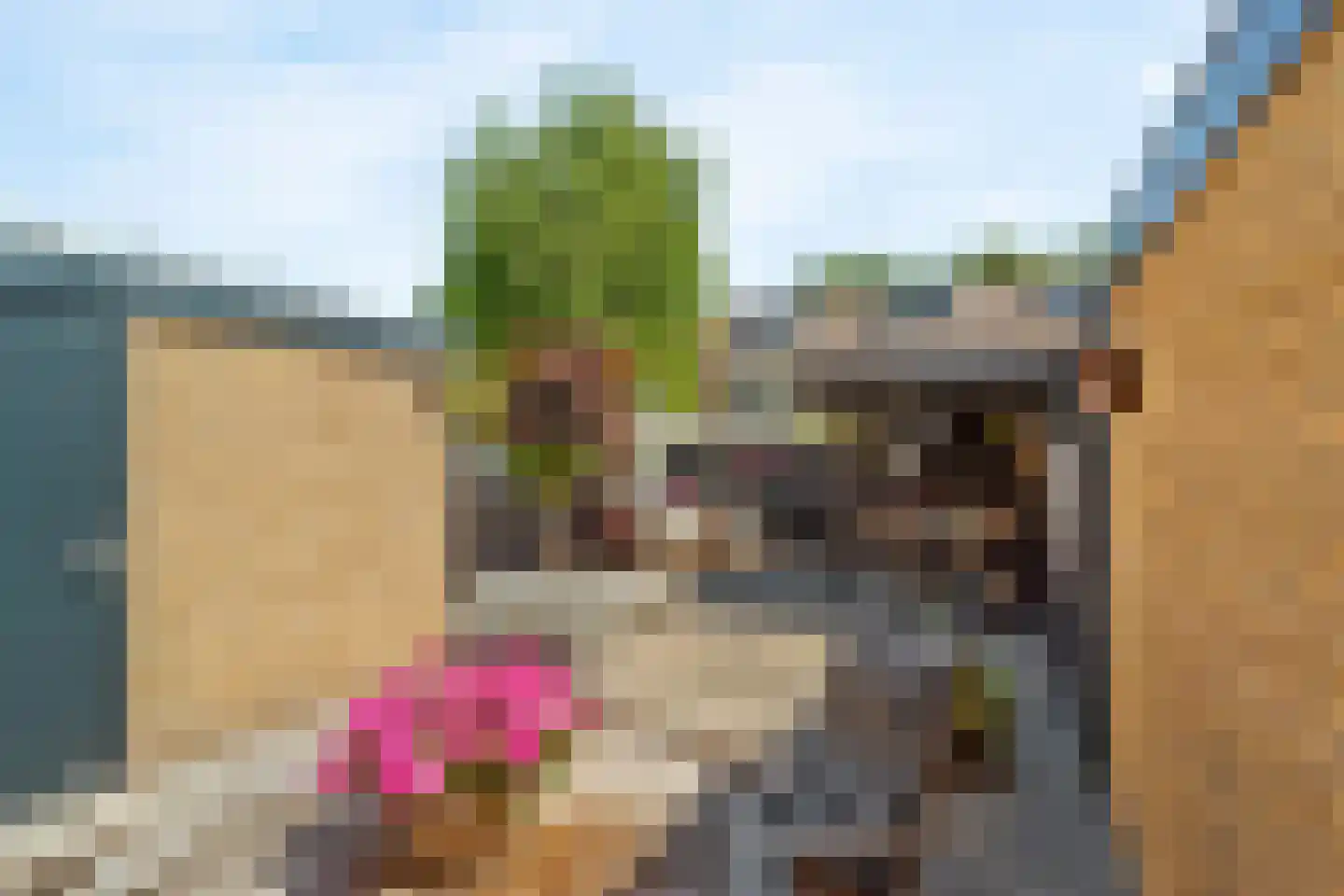 Wegedoornpad 7 's-Gravenzande thumbnail 32