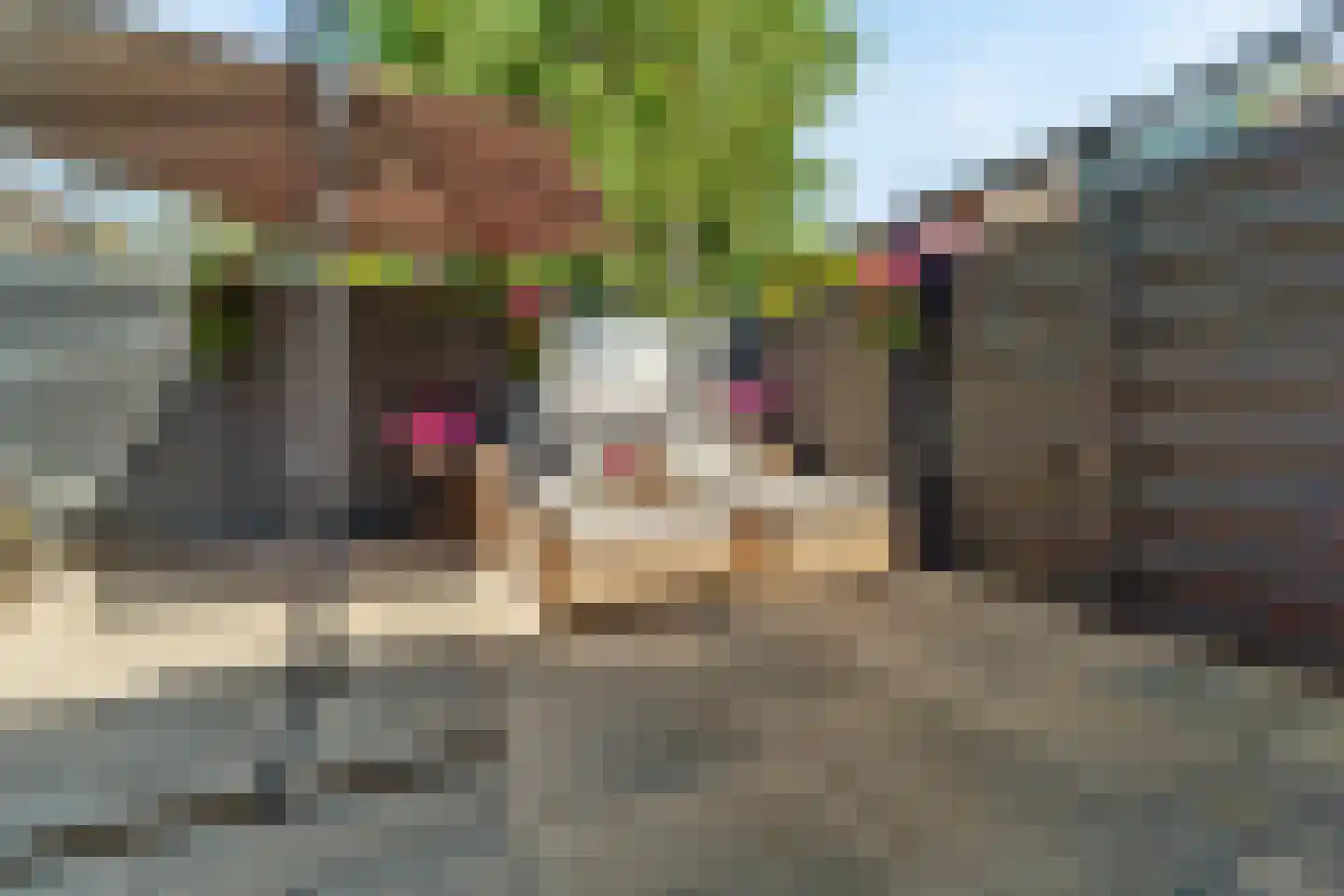 Wegedoornpad 7 's-Gravenzande thumbnail 34