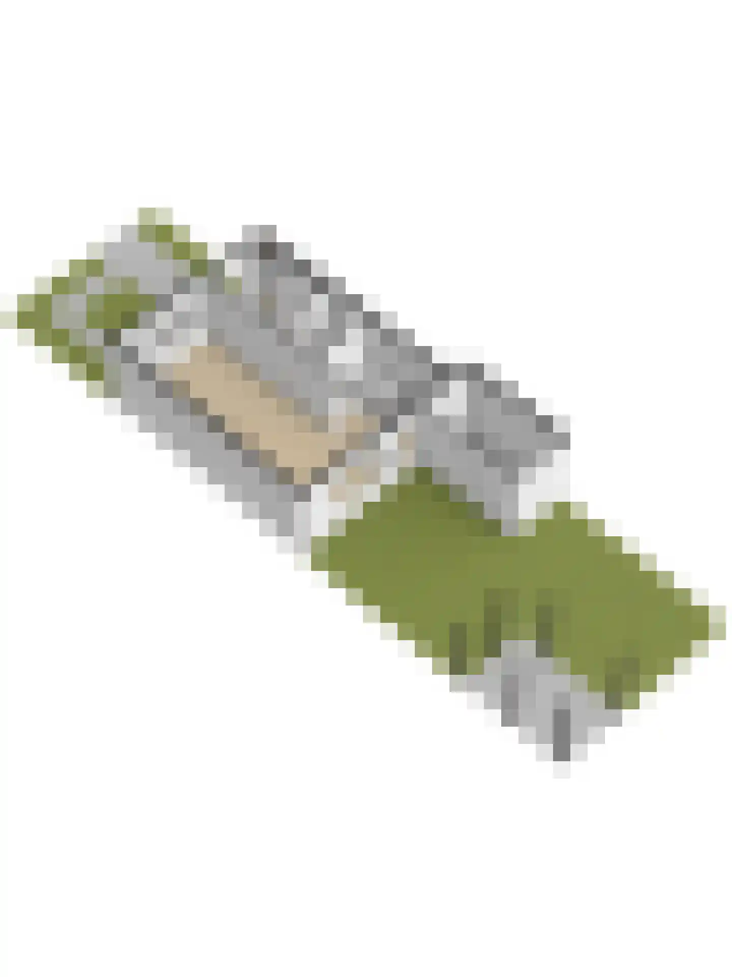 Wegedoornpad 7 's-Gravenzande thumbnail 43