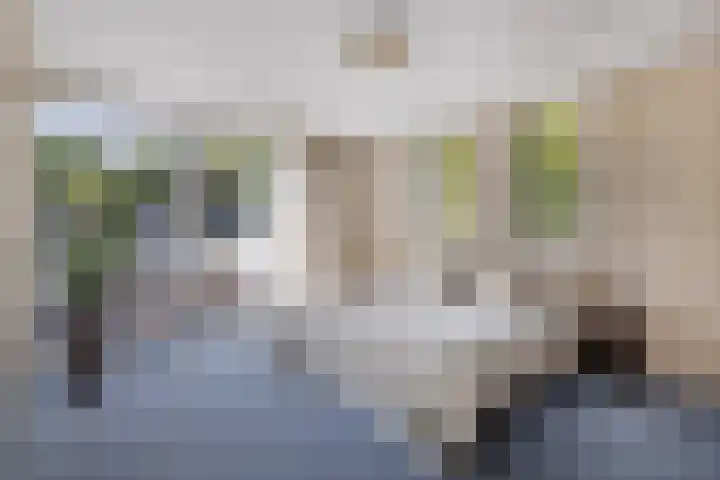 Wegedoornweg 1 Haarlem thumbnail 13