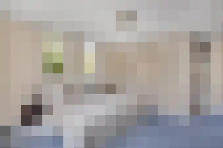 Wegedoornweg 1 Haarlem thumbnail 15