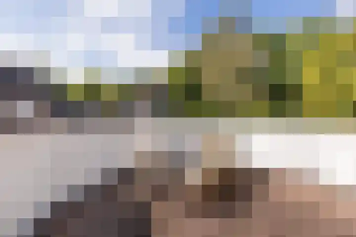 Wegedoornweg 1 Haarlem thumbnail 23