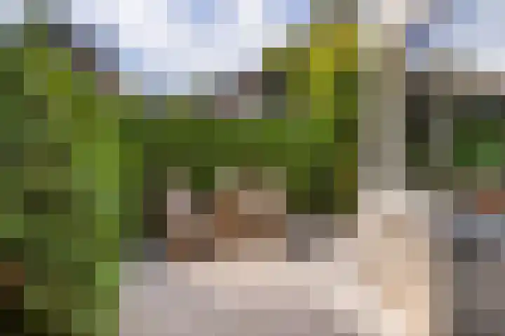 Wegedoornweg 1 Haarlem thumbnail 25