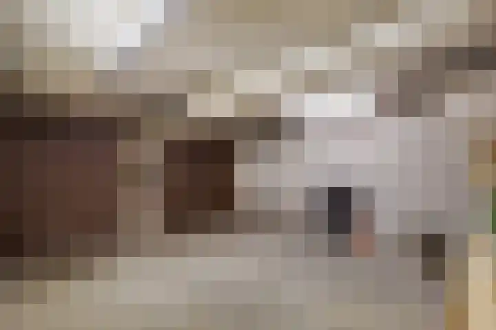 Wegedoornweg 1 Haarlem thumbnail 27
