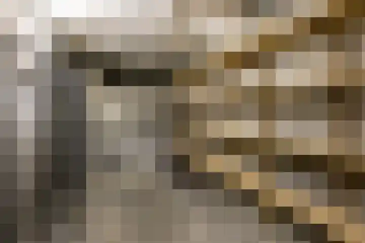 Wegedoornweg 1 Haarlem thumbnail 28
