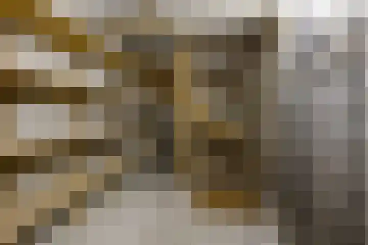 Wegedoornweg 1 Haarlem thumbnail 29