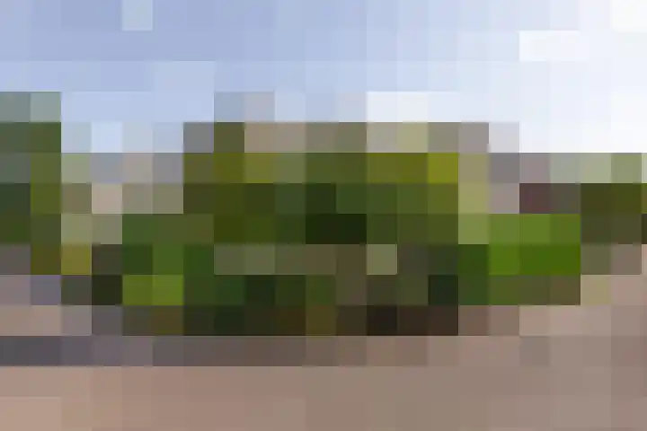 Wegedoornweg 1 Haarlem thumbnail 30