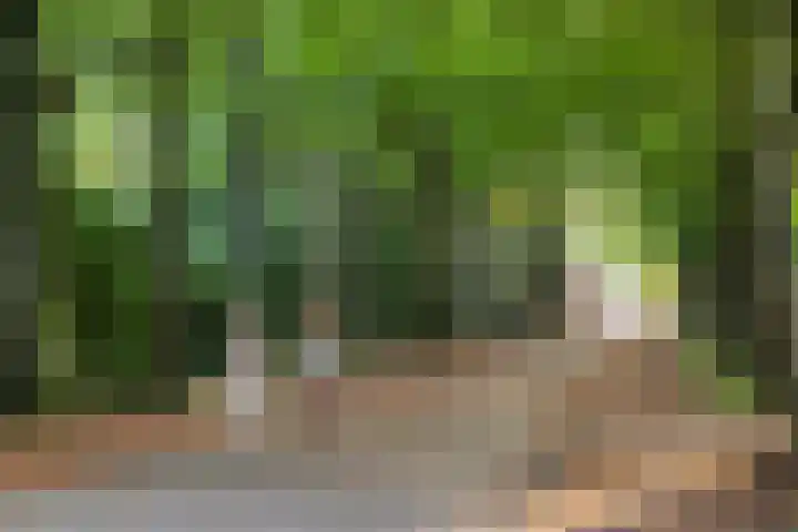 Wegedoornweg 1 Haarlem thumbnail 31