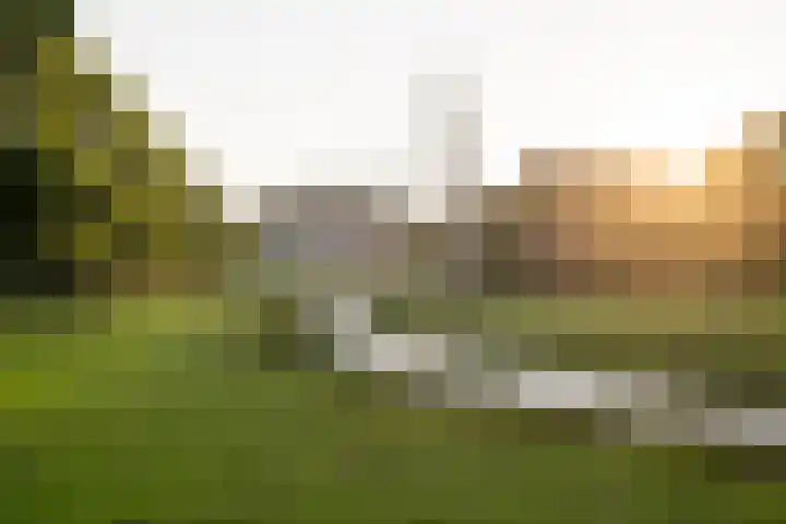 Wegedoornweg 1 Haarlem thumbnail 32
