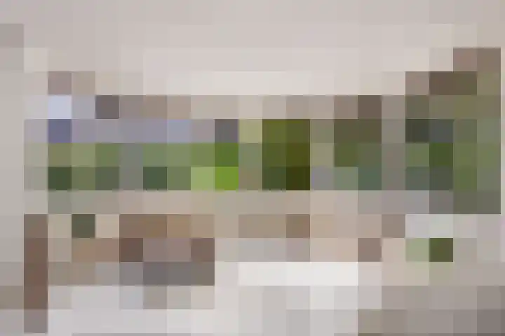 Wegedoornweg 1 Haarlem thumbnail 6