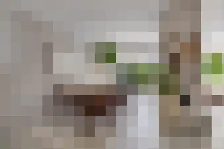 Wegedoornweg 1 Haarlem thumbnail 8