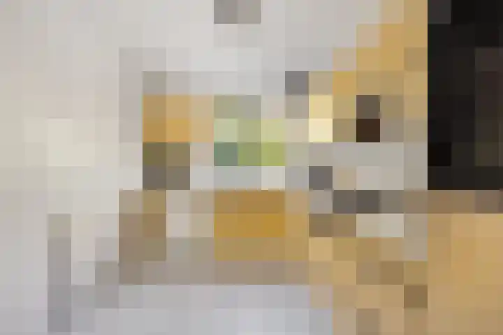 Wegedoornweg 1 Haarlem thumbnail 9