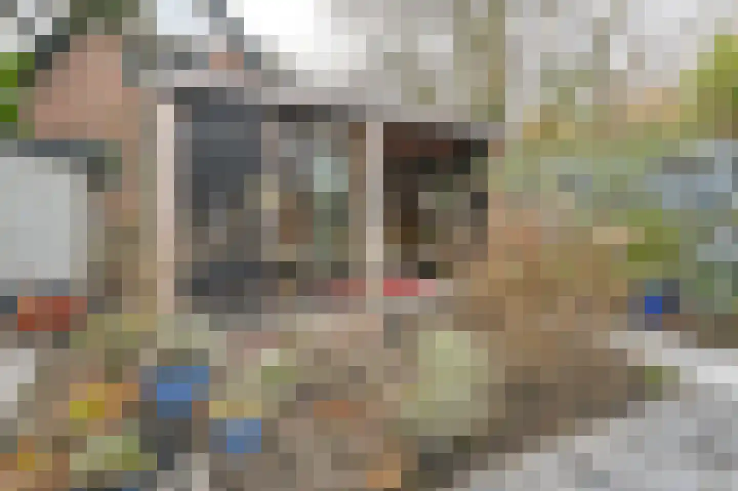 Wegedoornweg 16 Haarlem thumbnail 20