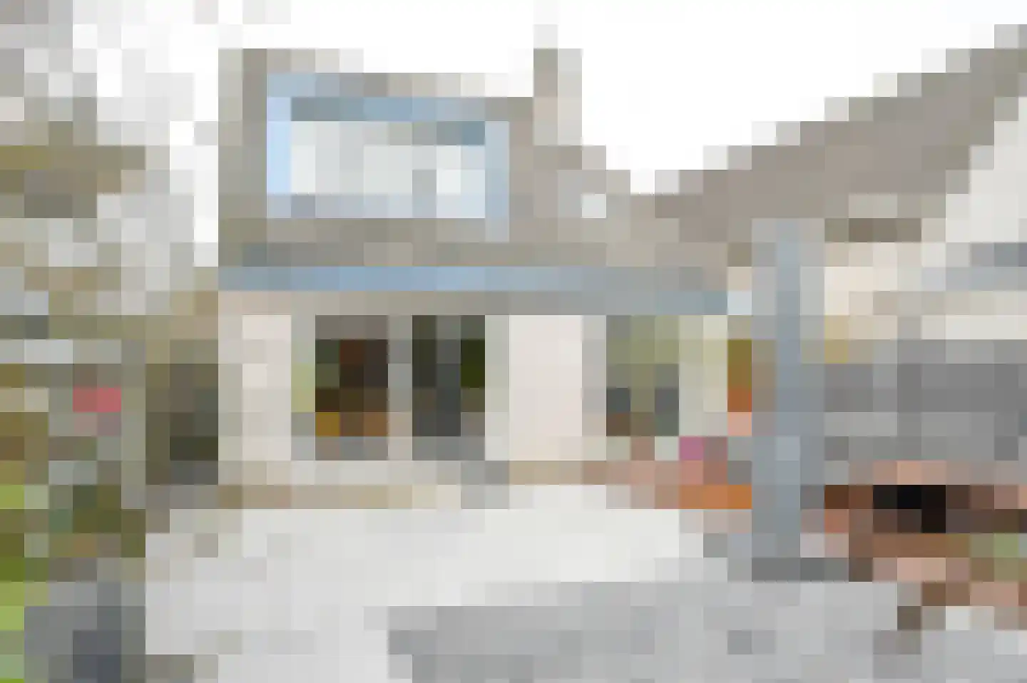 Wegedoornweg 16 Haarlem thumbnail 23