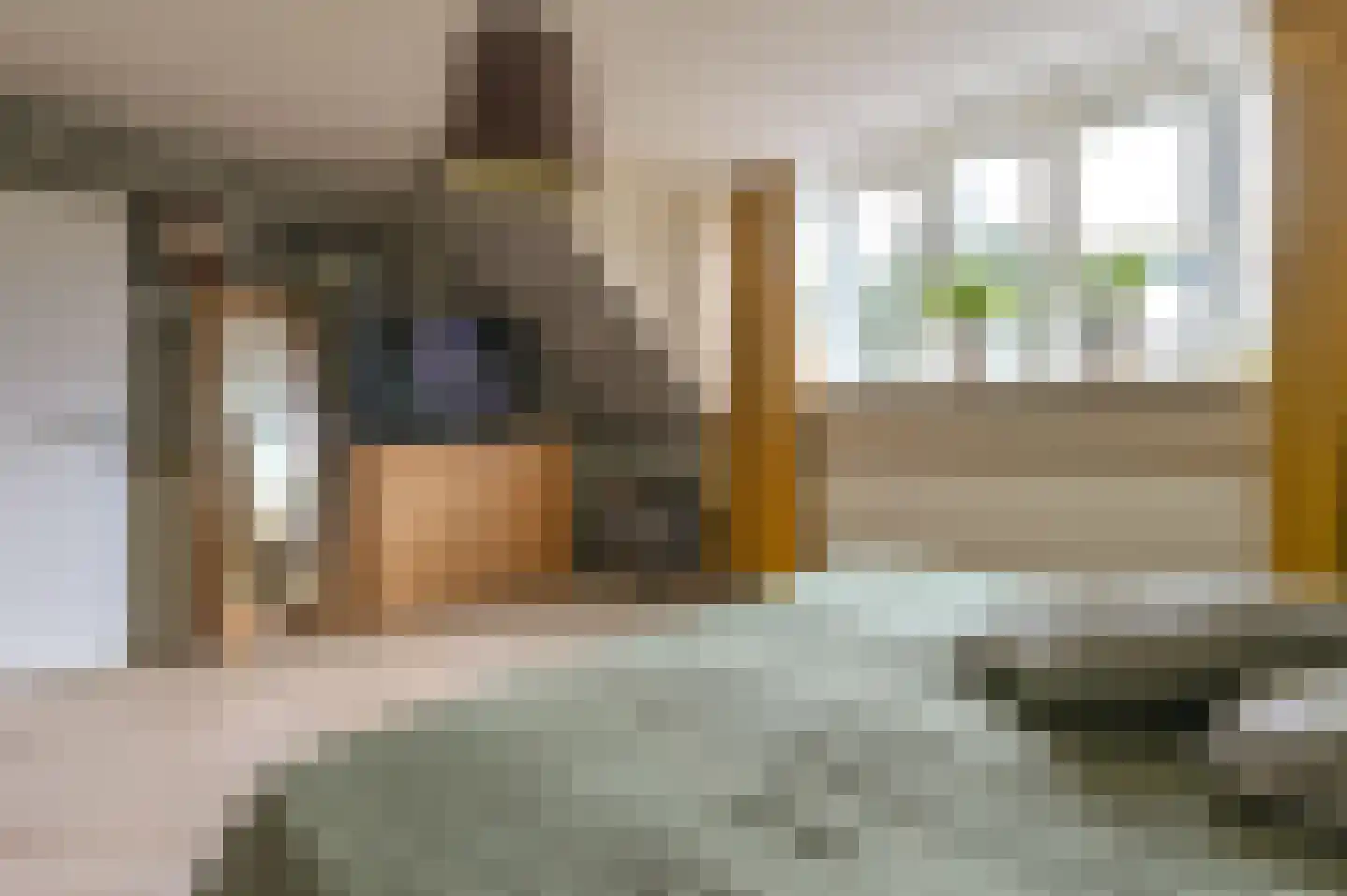 Wegedoornweg 16 Haarlem thumbnail 27
