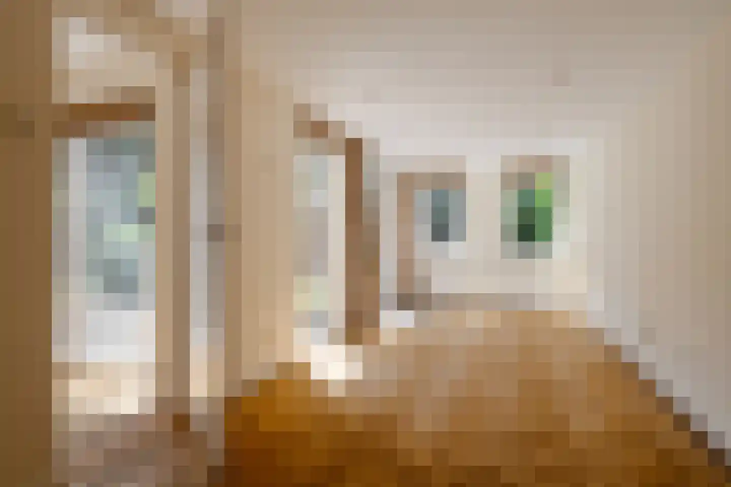 Wegedoornweg 22 Haarlem thumbnail 15
