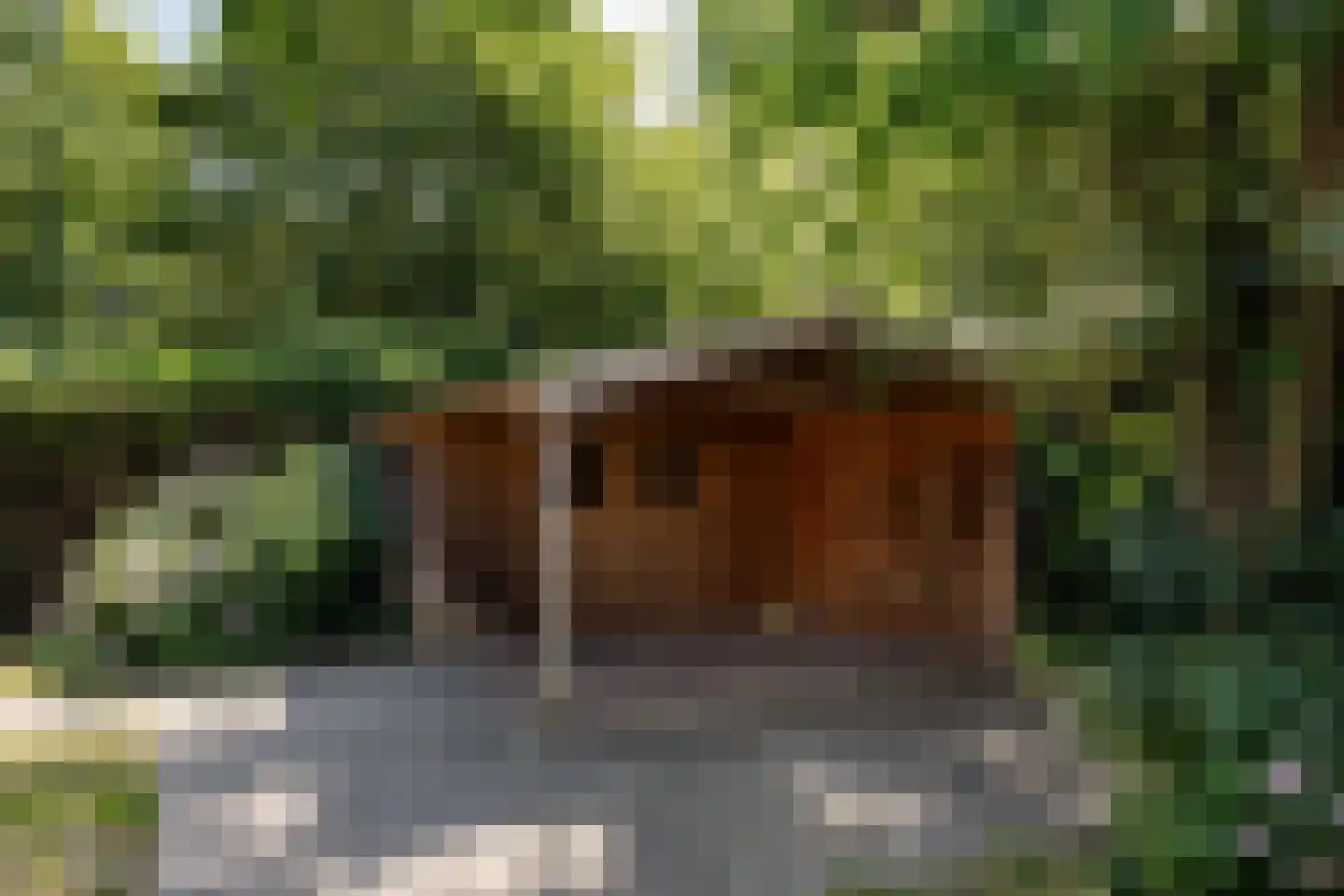 Wegedoornweg 22 Haarlem thumbnail 18