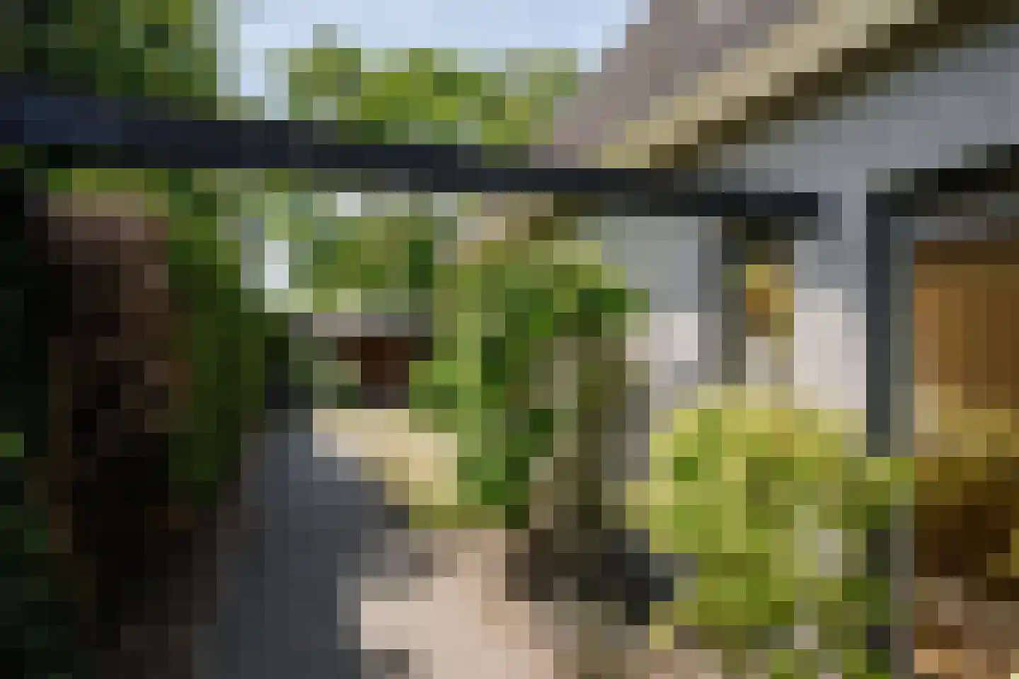 Wegedoornweg 22 Haarlem thumbnail 20