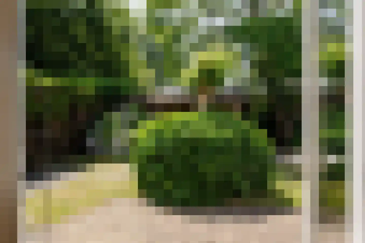 Wegedoornweg 22 Haarlem thumbnail 21