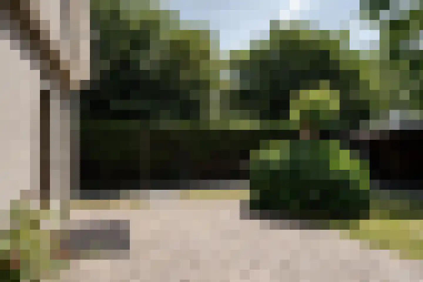 Wegedoornweg 22 Haarlem thumbnail 22