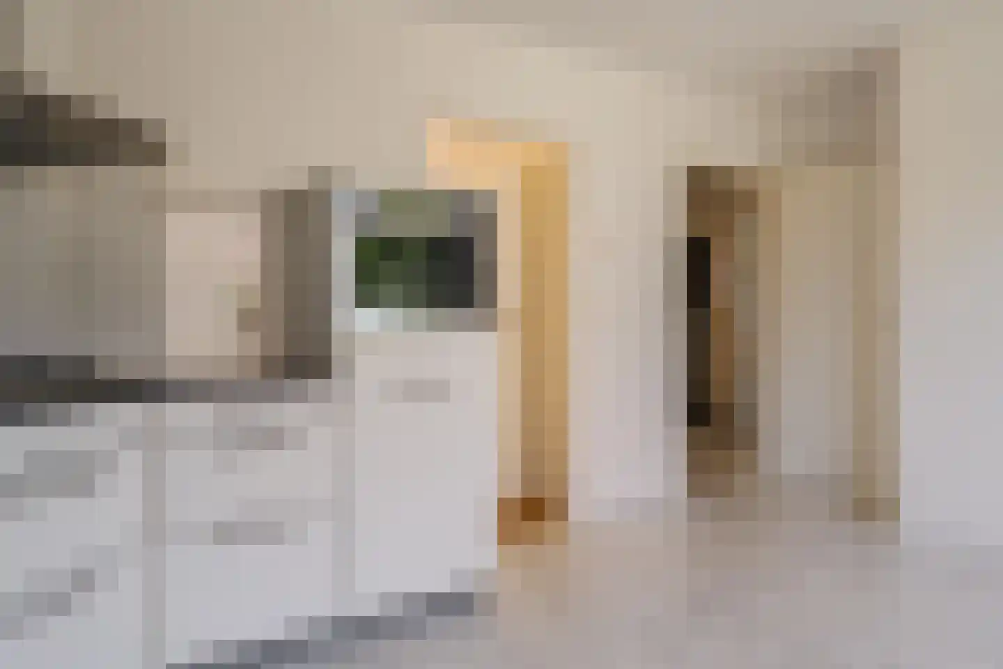 Wegedoornweg 22 Haarlem thumbnail 27