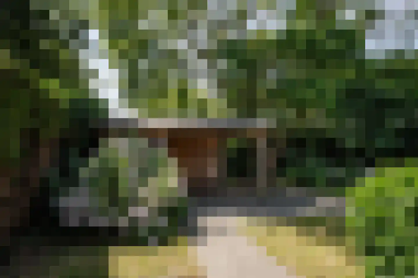 Wegedoornweg 22 Haarlem thumbnail 4