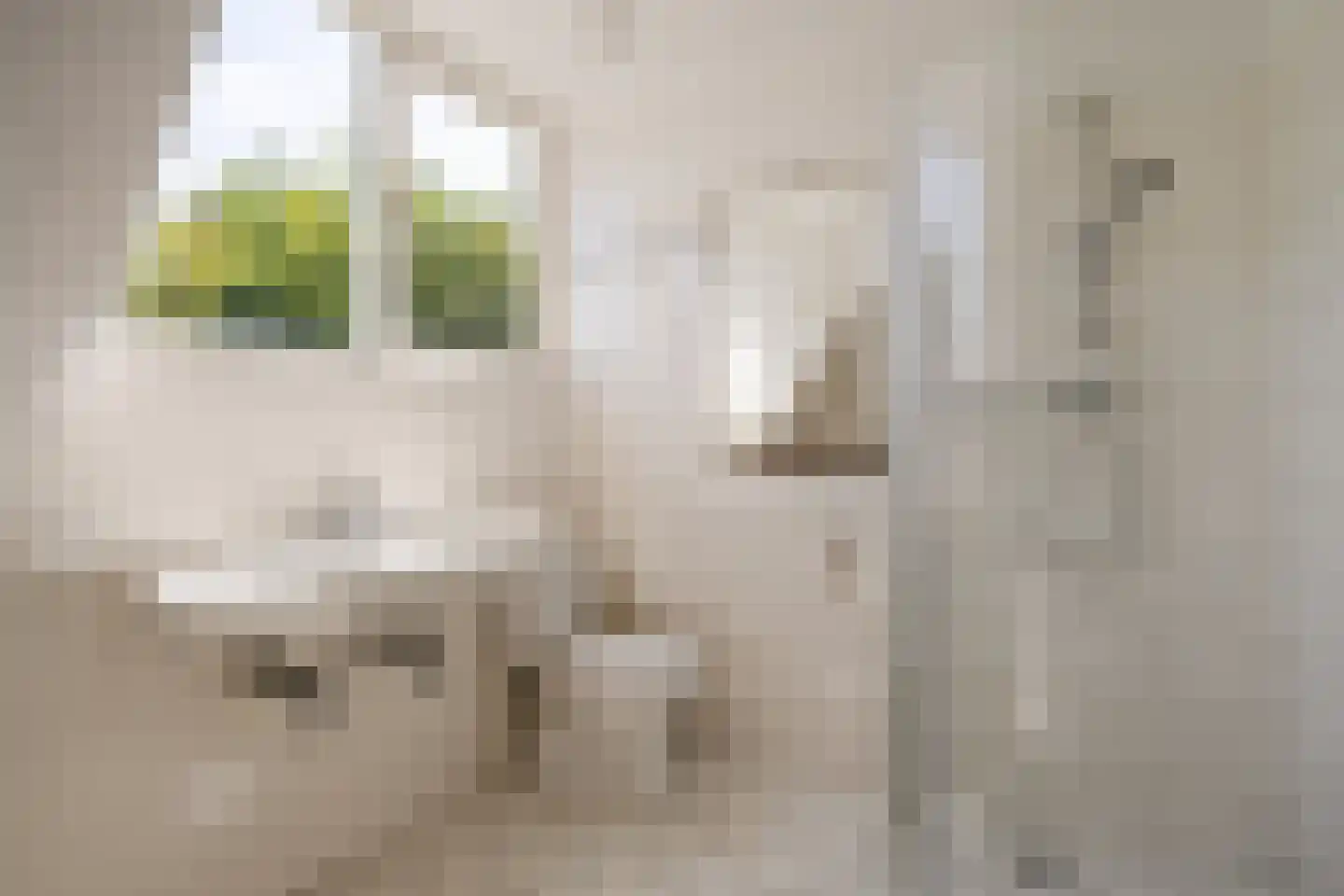 Wegedoornweg 22 Haarlem thumbnail 43