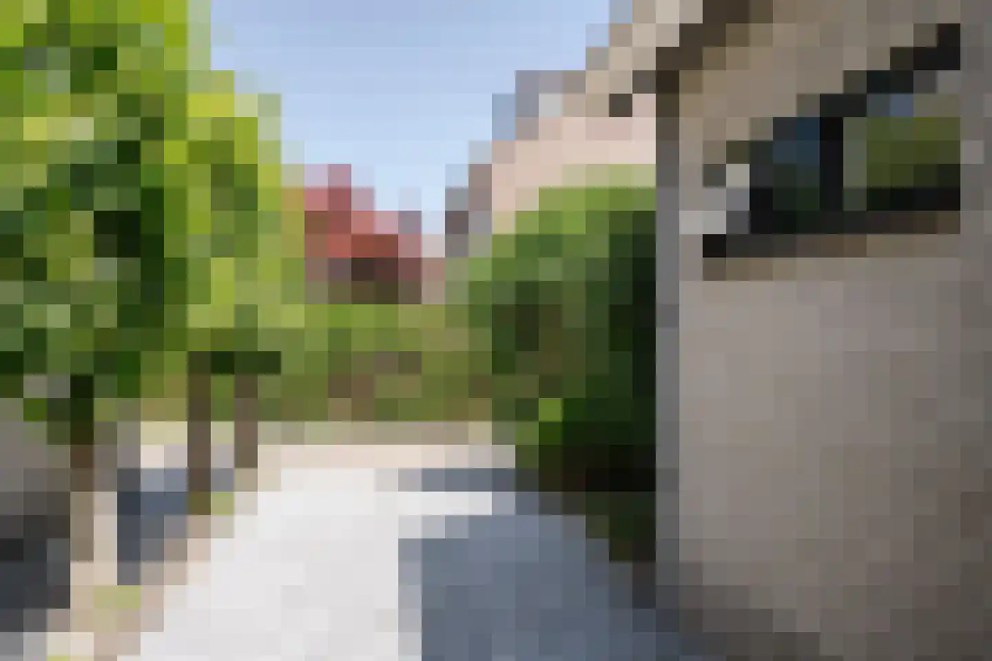 Wegedoornweg 22 Haarlem thumbnail 8
