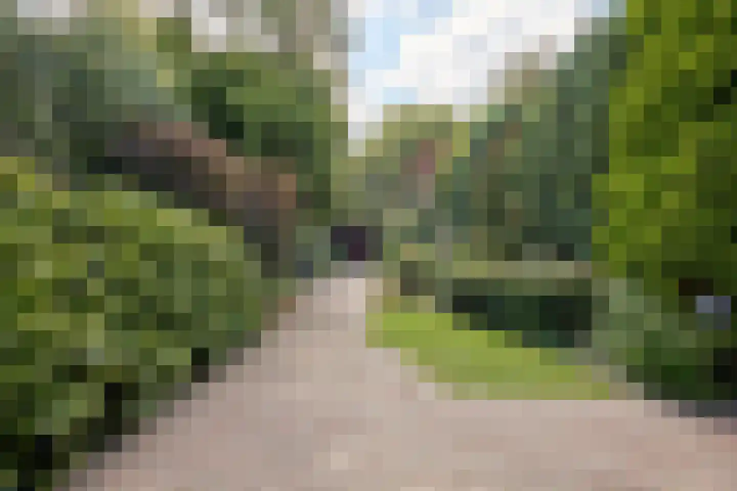 Wegedoornweg 4 Haarlem thumbnail 11