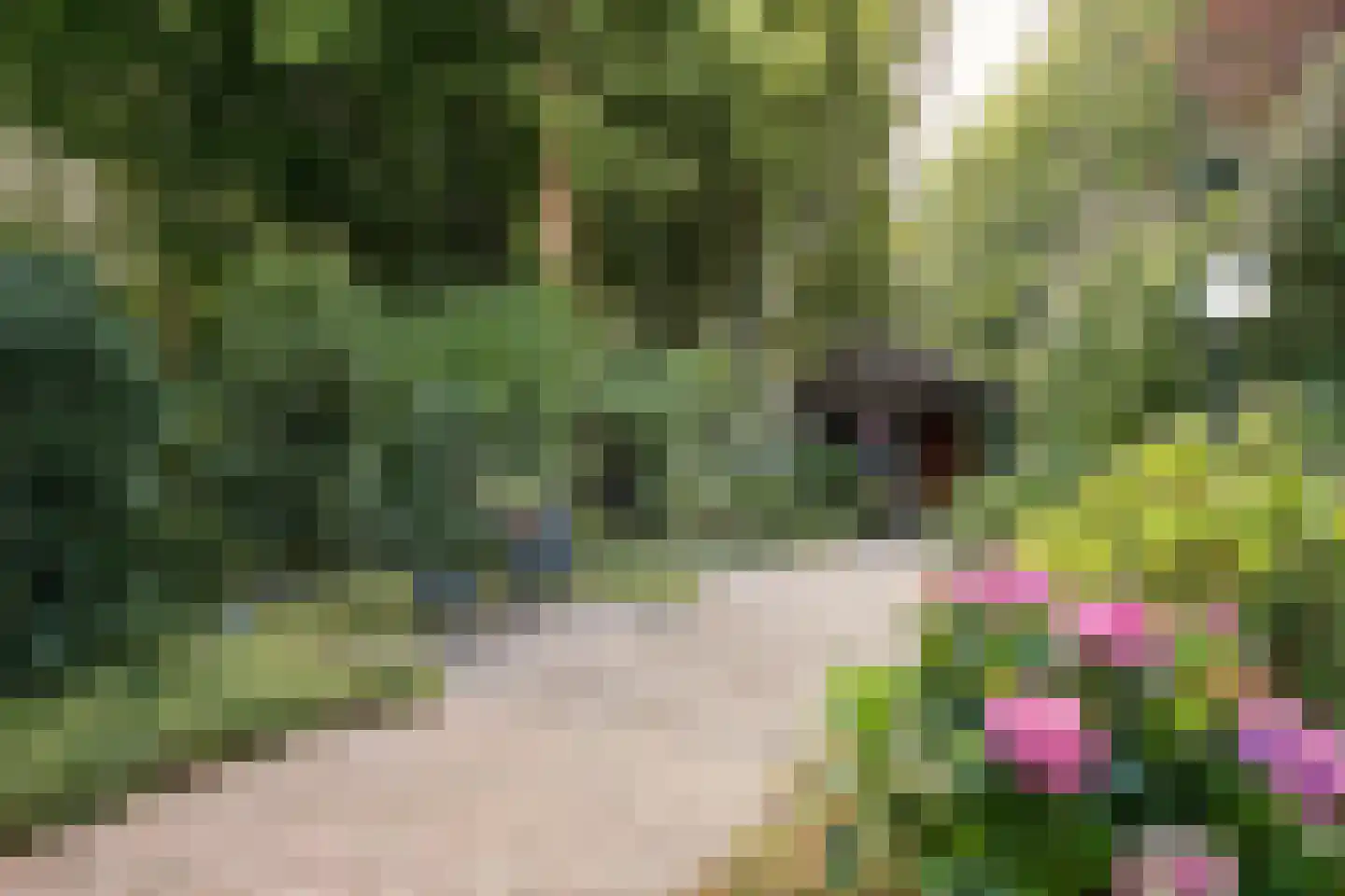 Wegedoornweg 4 Haarlem thumbnail 12