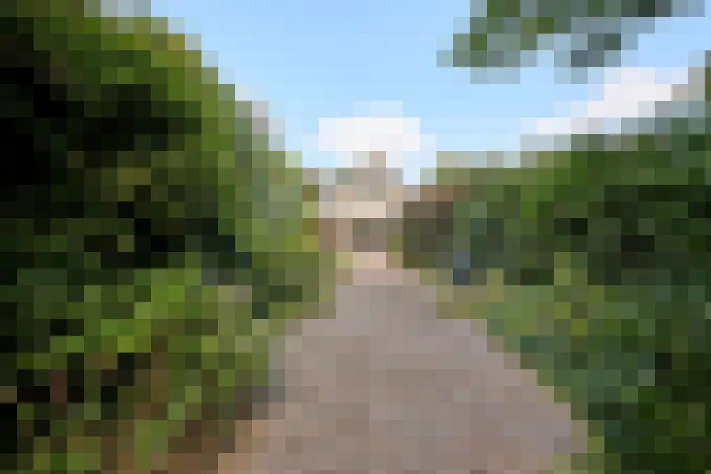Wegedoornweg 4 Haarlem thumbnail 15