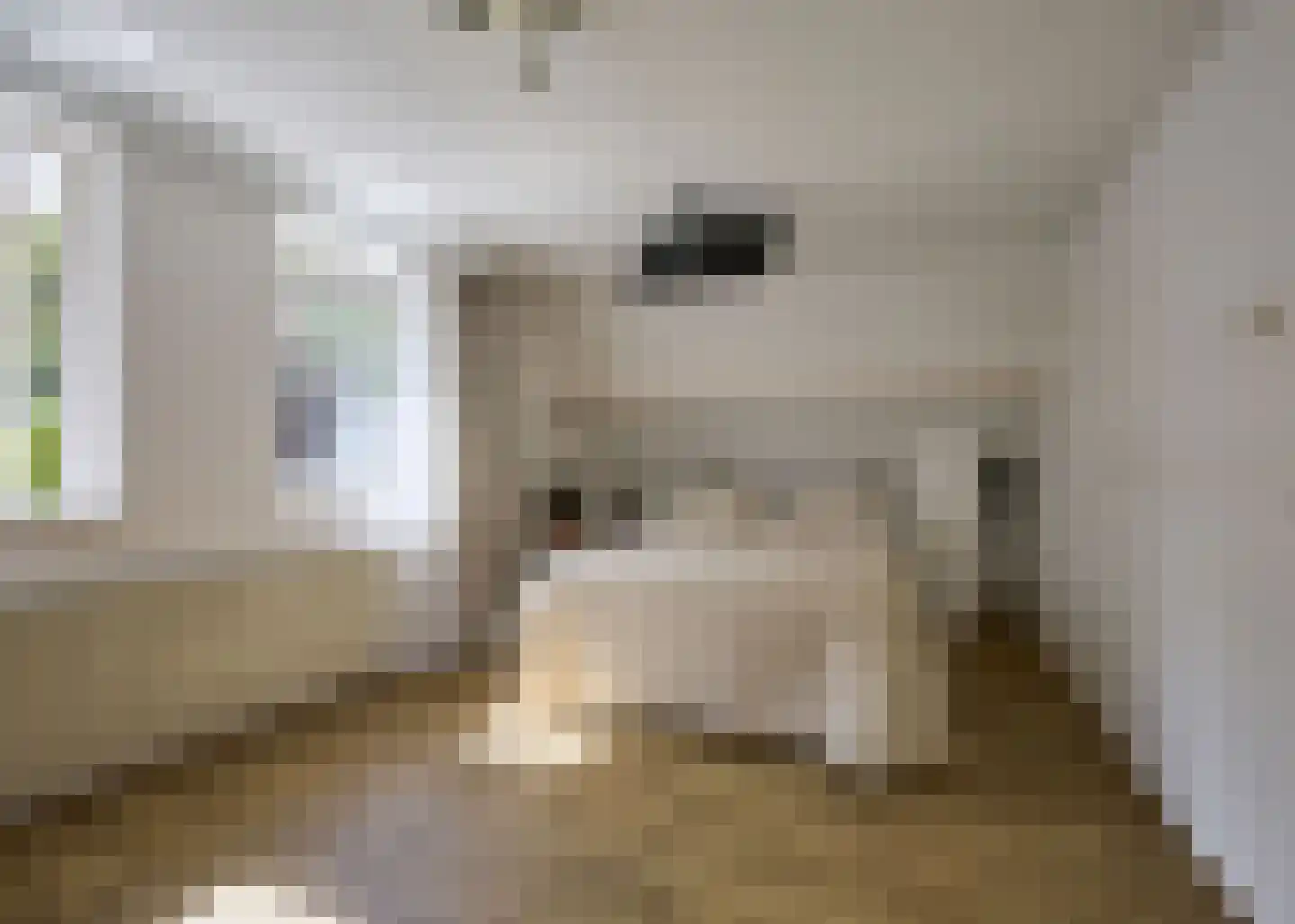Wegedoornweg 4 Haarlem thumbnail 18